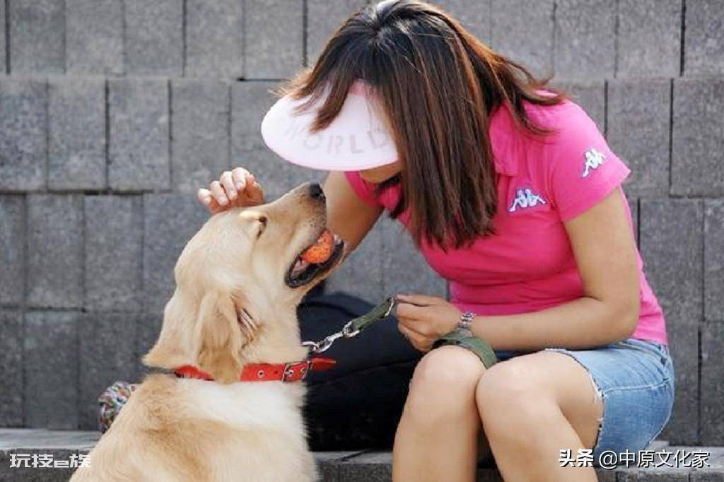 男不养猫女不养狗的说法(这个说法有科学依据吗)-图片4